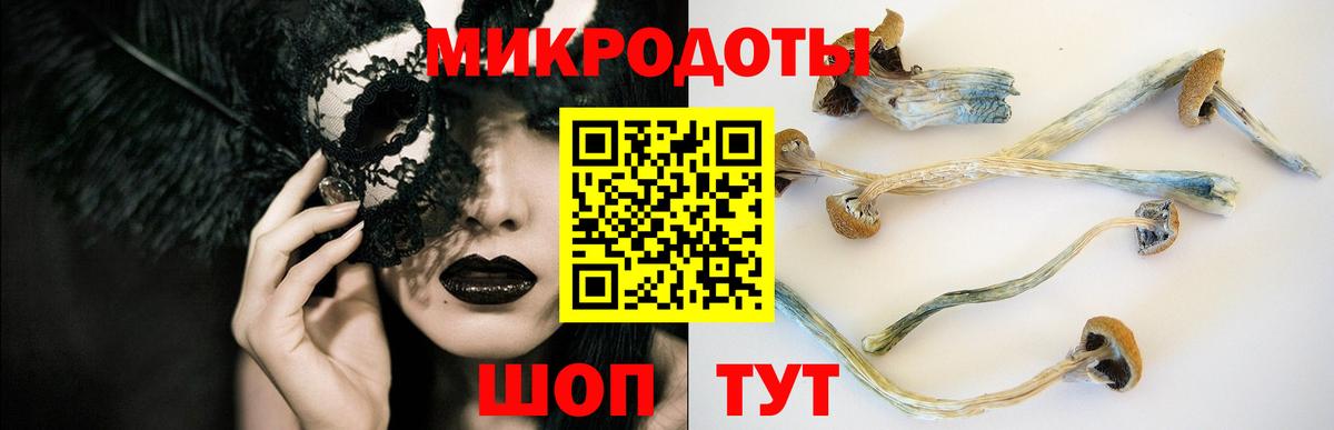 Галлюциногенные грибы прущие грибы  Псилоцибиновые грибы прущие грибы  Керчь  где купить   Вход с VPN 