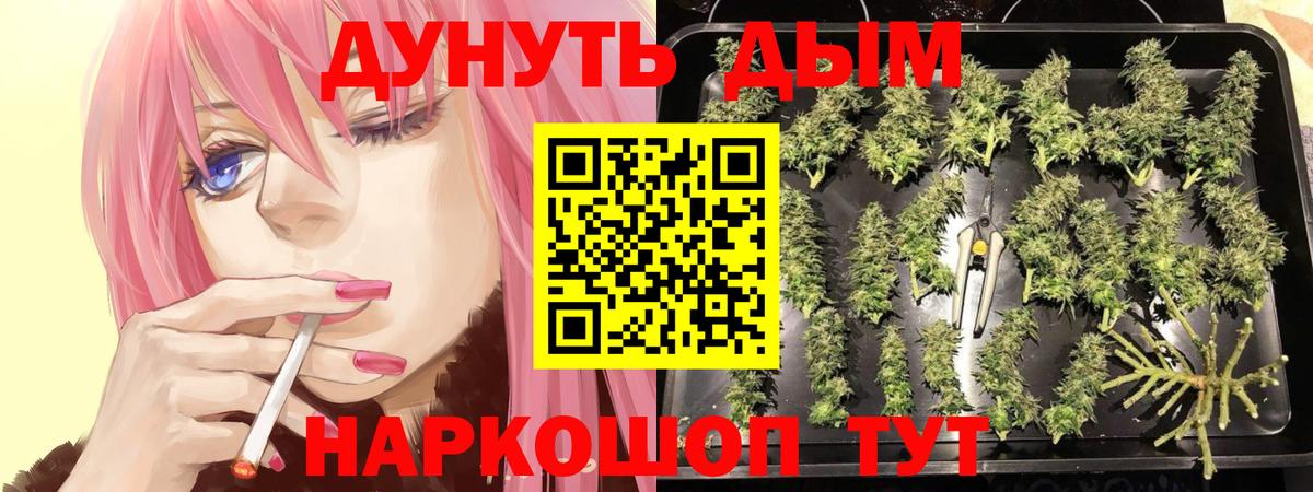 Бошки марихуана марихуана Керчь